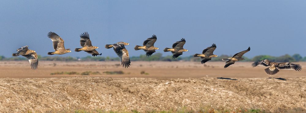 Photograph by Ashit Gandhi