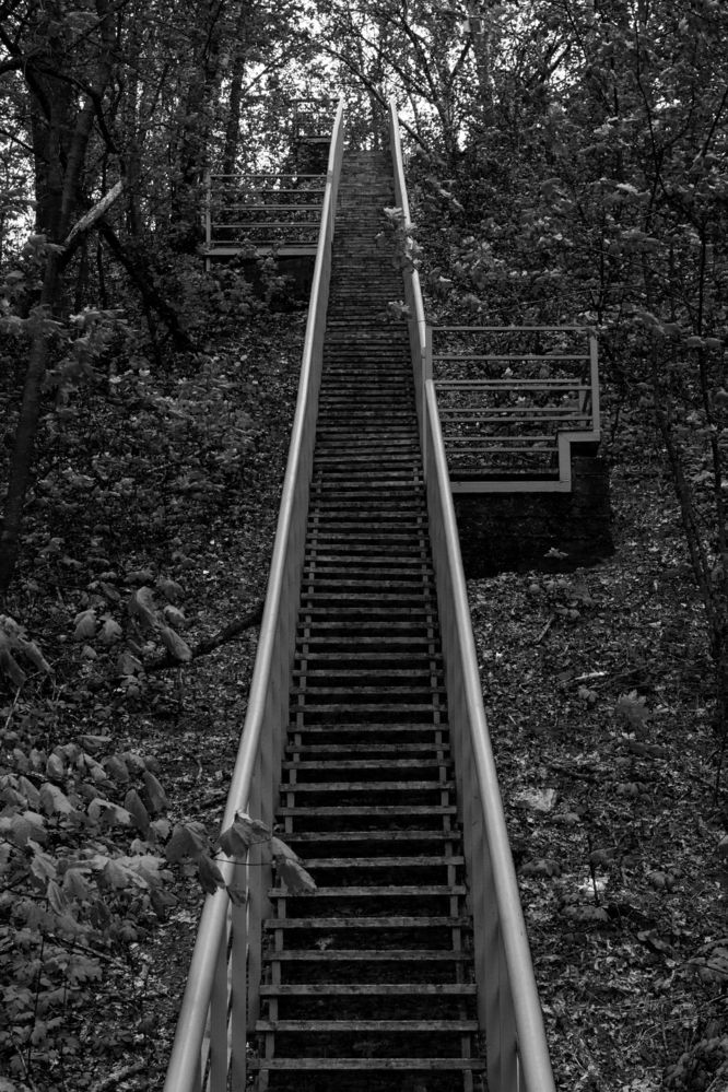 Photograph by Дарья Улюсова