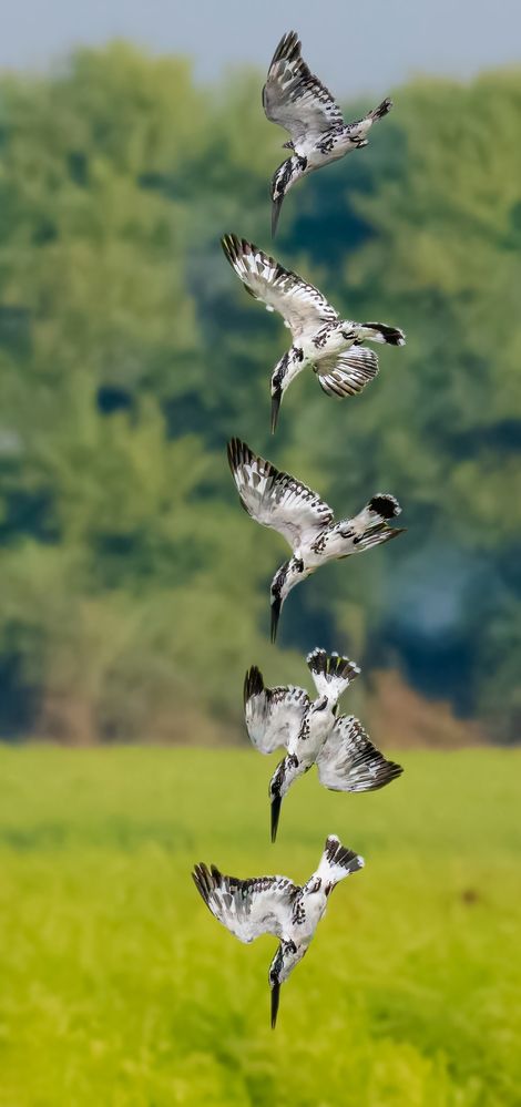 Photograph by Ashit Gandhi