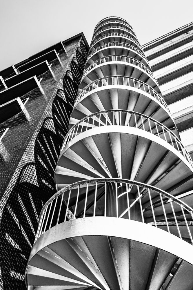 Photograph by Suzuki Ryuta