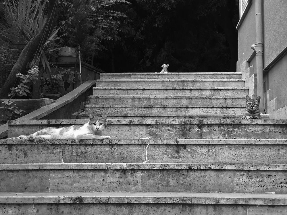 Photograph by Артем Гатин