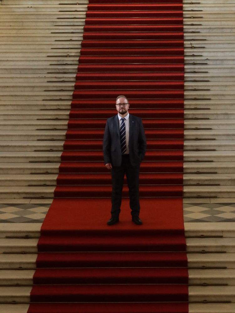 Красная ковровая дорожка (The red carpet)