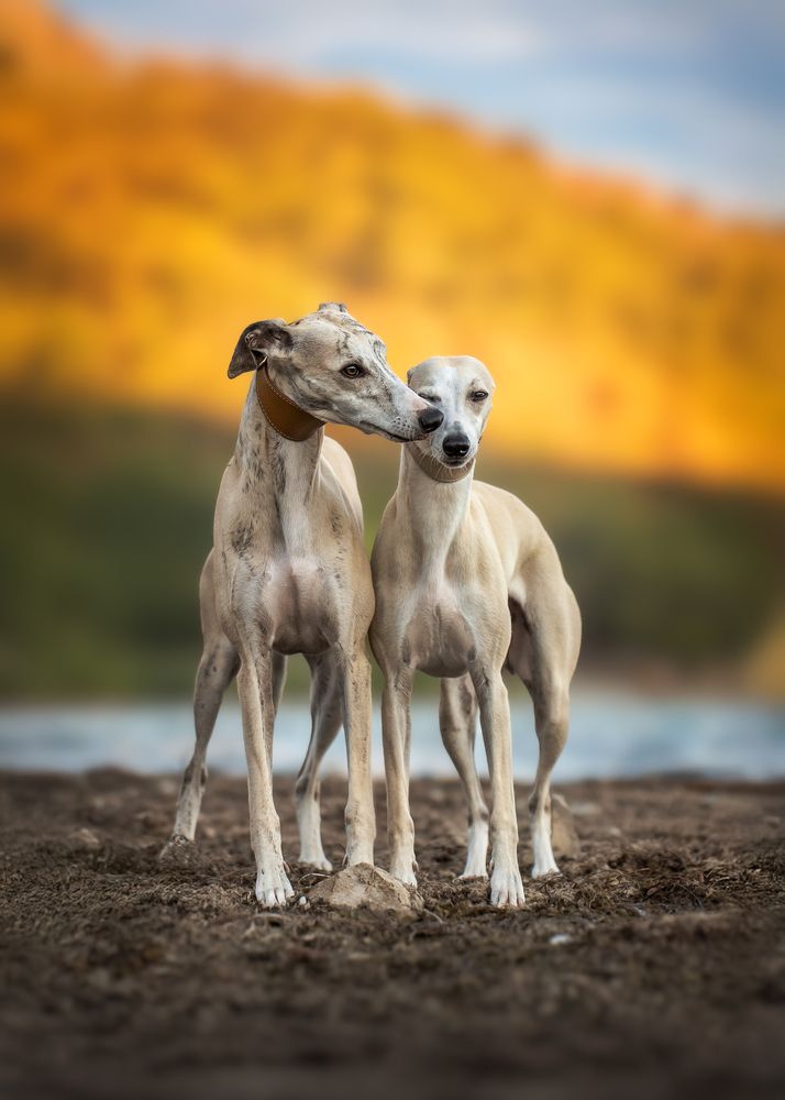 Photograph by Наталья Орел