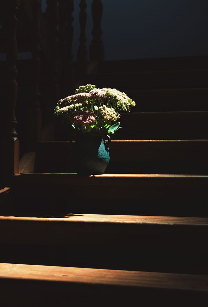 Photograph by Александрова