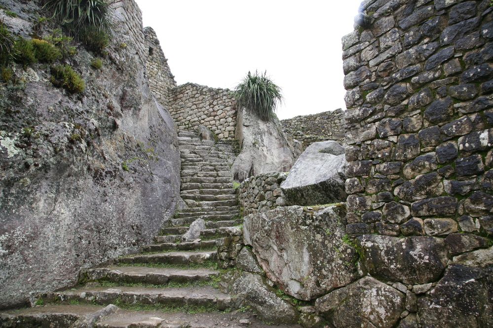 Photograph by Александр Журавлев