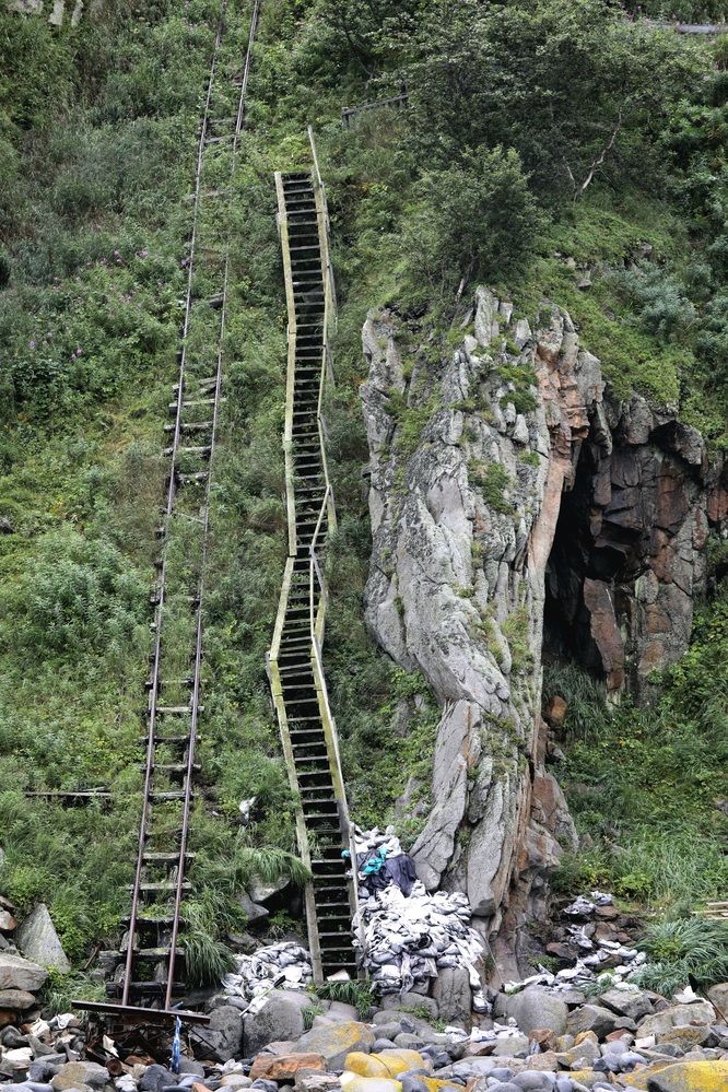 Photograph by Лариса Ким