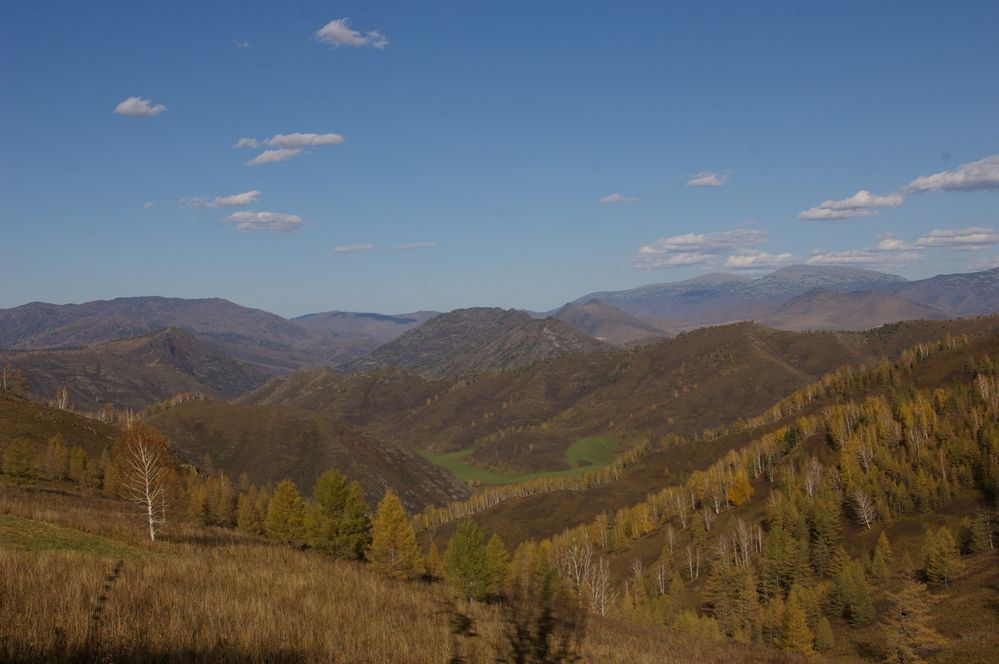 Золотая осень в горах Алтая