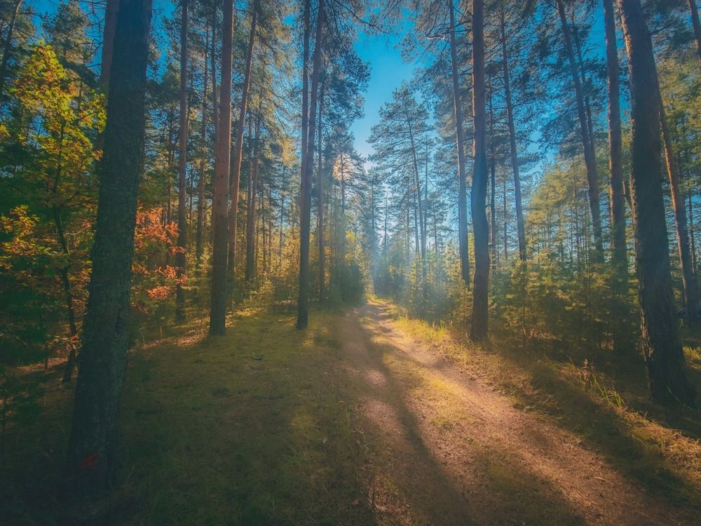 Photograph by Кирилл Сидоров