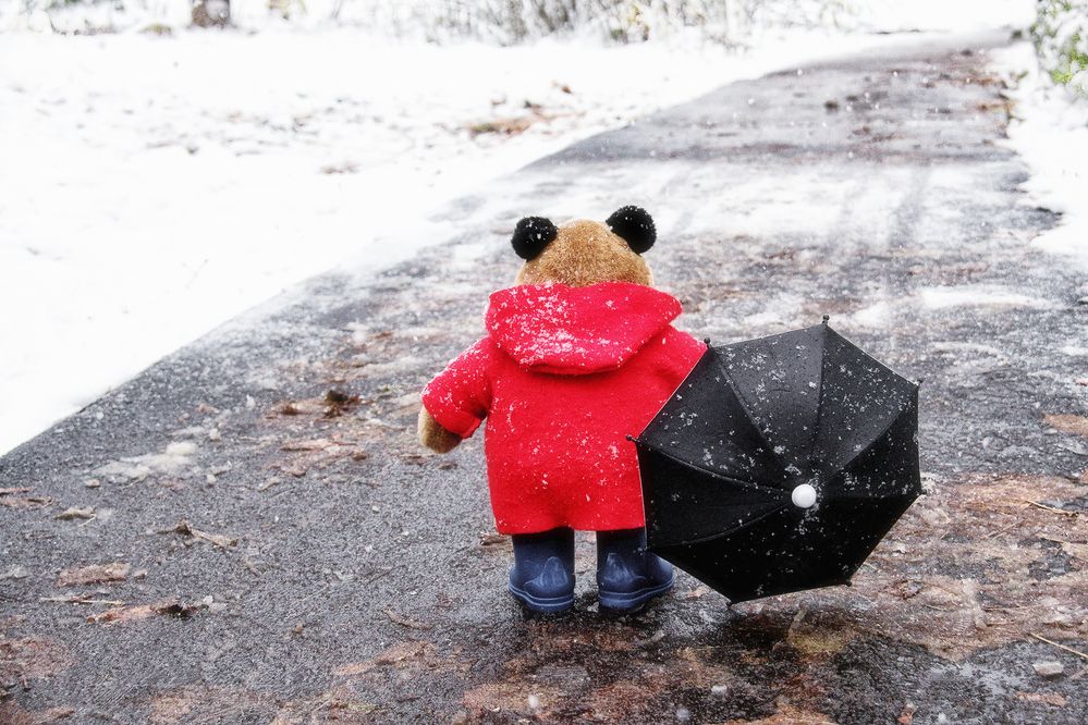 Фотография автора Елена Лаврова