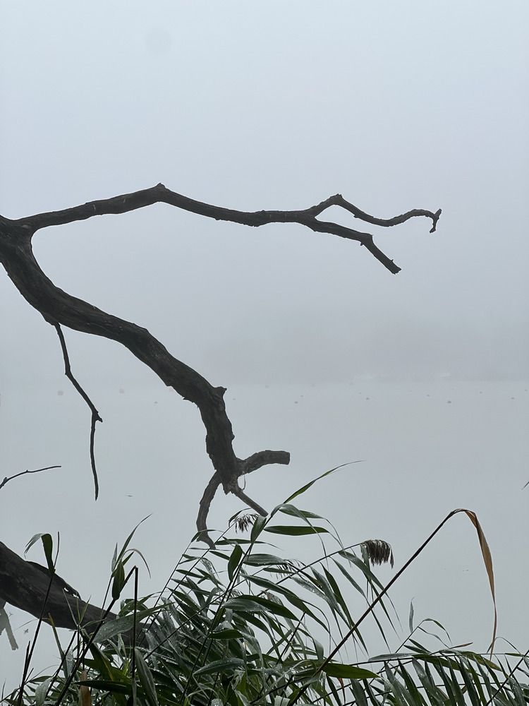 Photograph by Валерия Ершова
