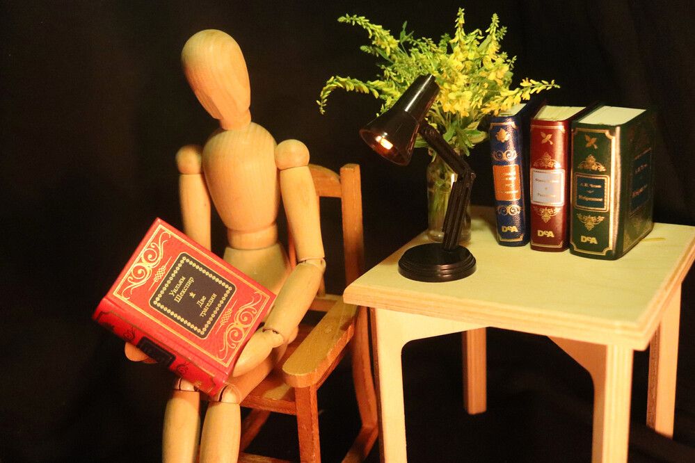 Деревянный человечек с книгой.