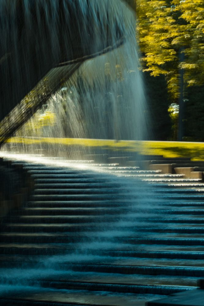 Photograph by Victoria Mogulyan