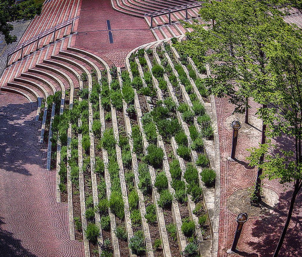 Фотография автора Александр