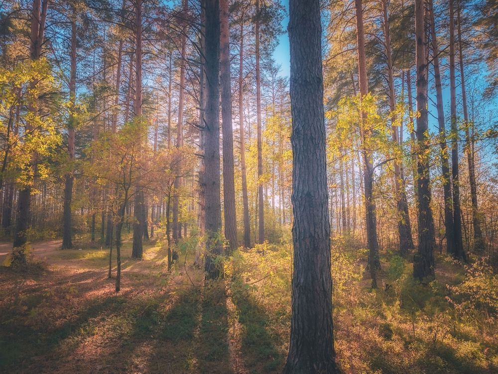 Photograph by Кирилл Сидоров