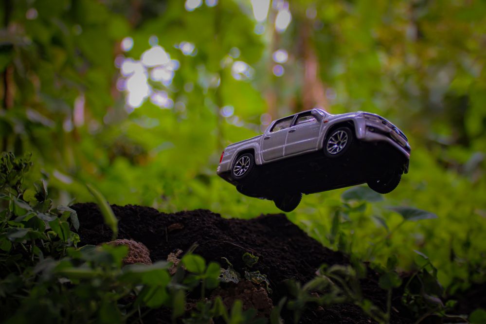 Photograph by Luís Miguel Camacho Silva