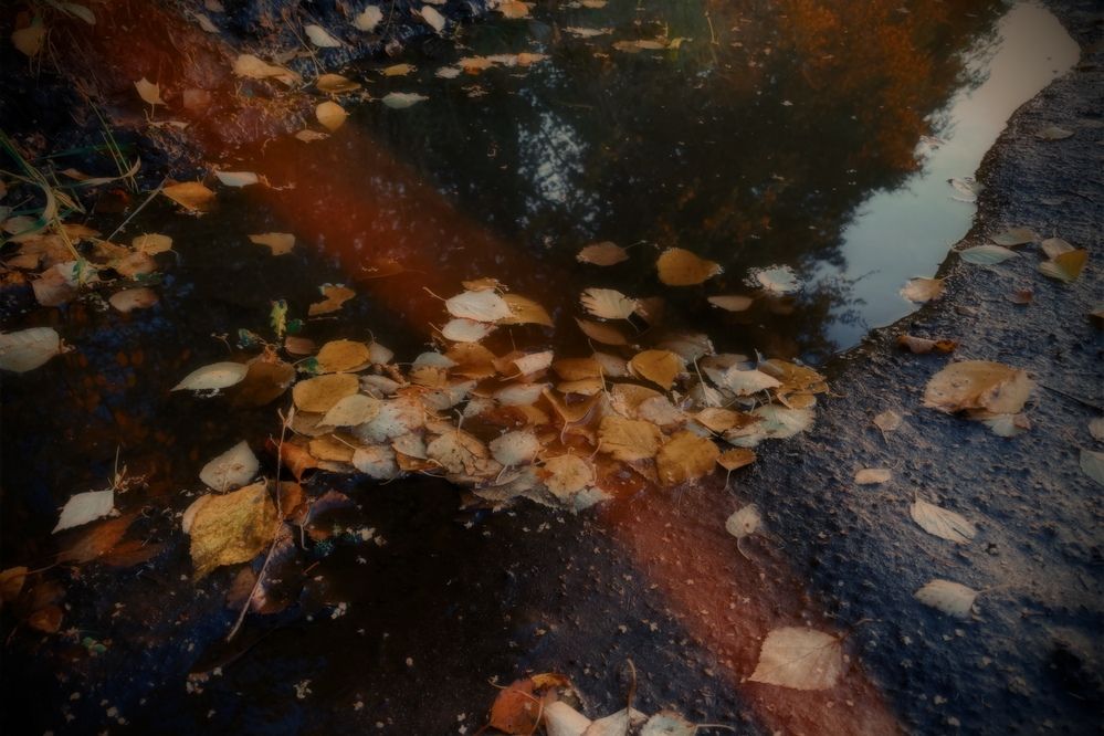 Photograph by Askar Kashapov