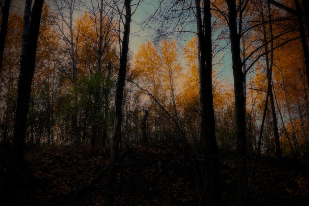 Photograph by Askar Kashapov