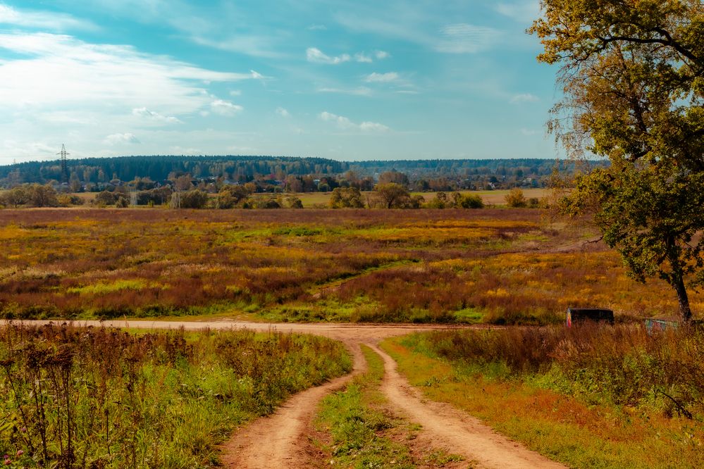 Photograph by Сергей Аникушин