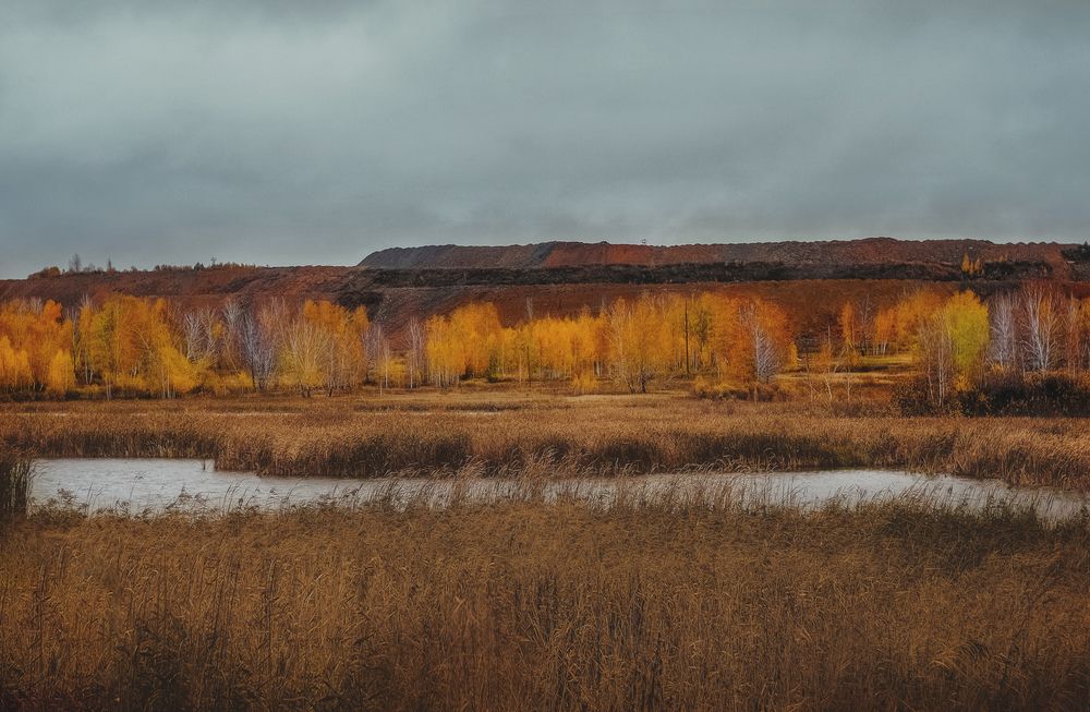 Photograph by Юлия Лушникова