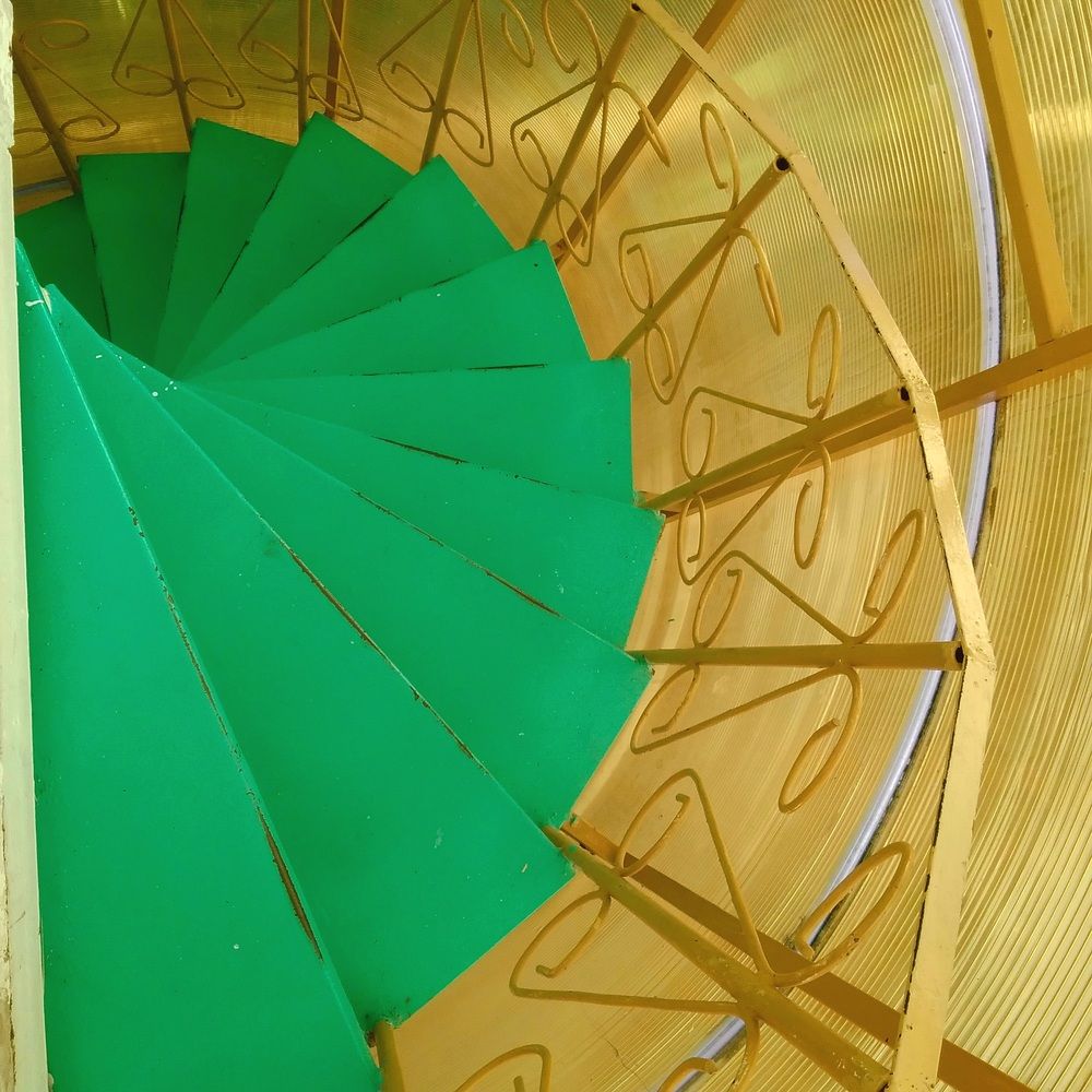 Photograph by Васильева Львовна