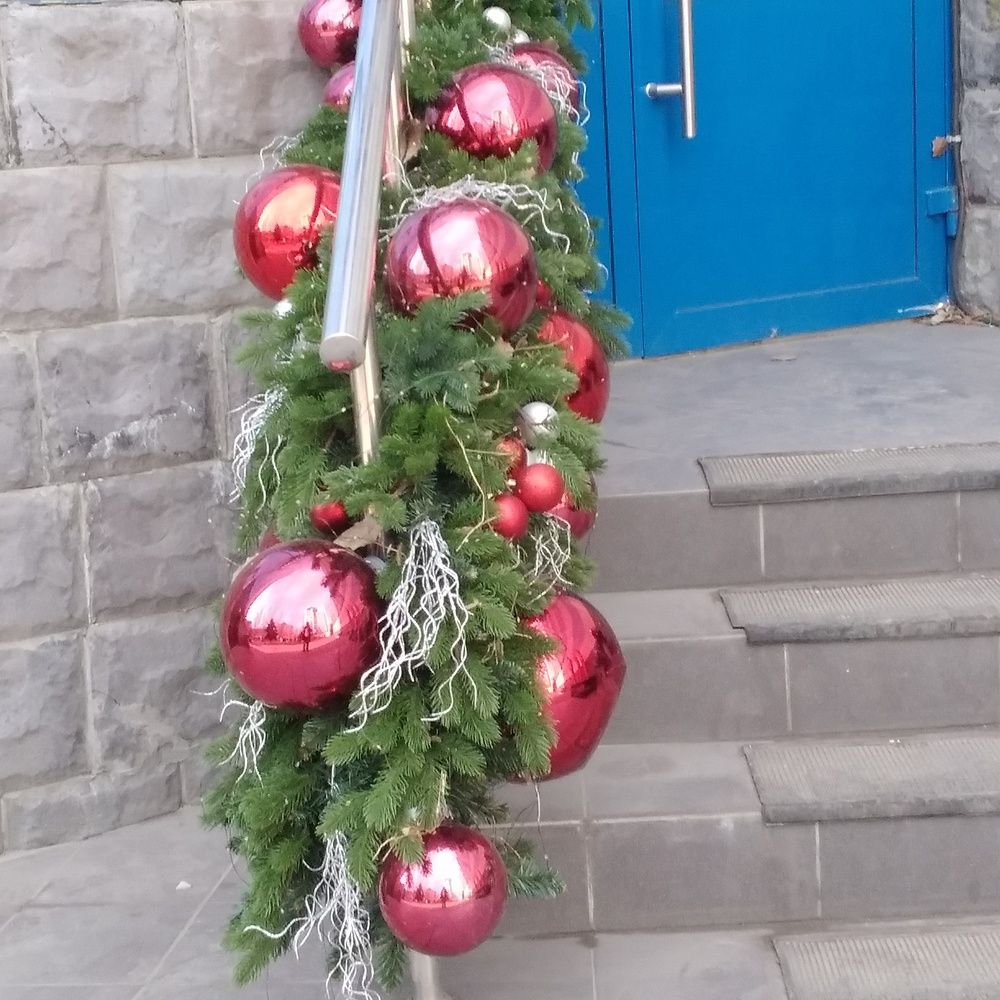 Photograph by Васильева Львовна