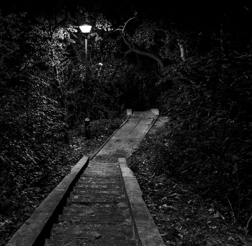 Photograph by Alexey S