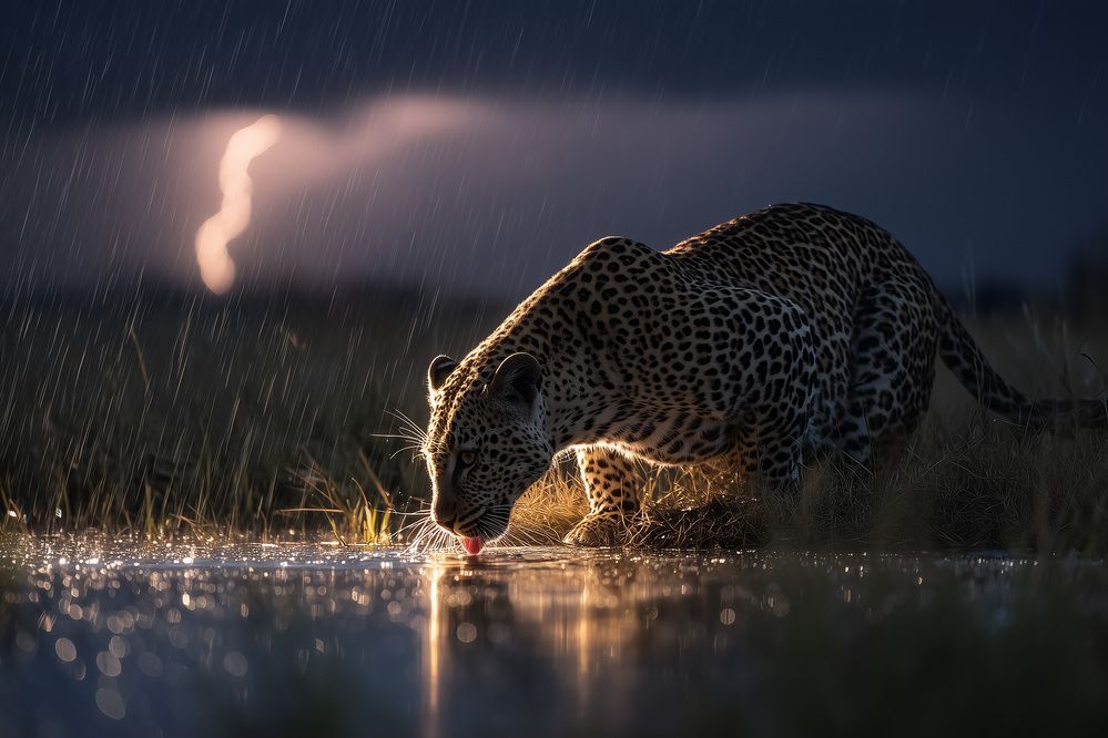 Photograph by Дмитрий Николаев