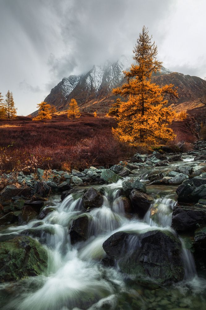 Photograph by Рубан Елена