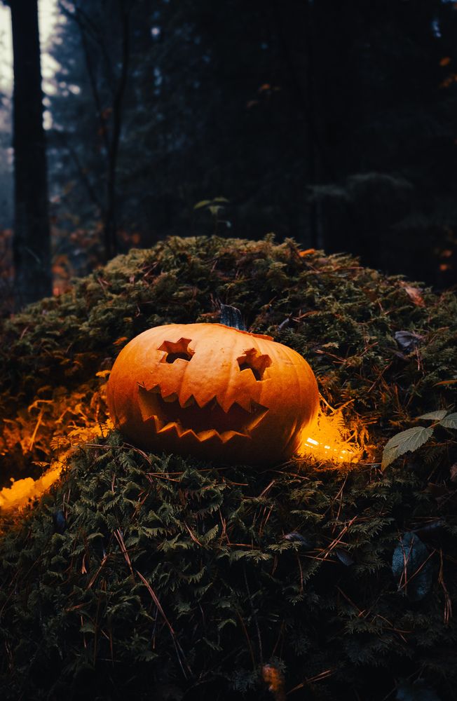 Фотография автора Геннадий Ломеко