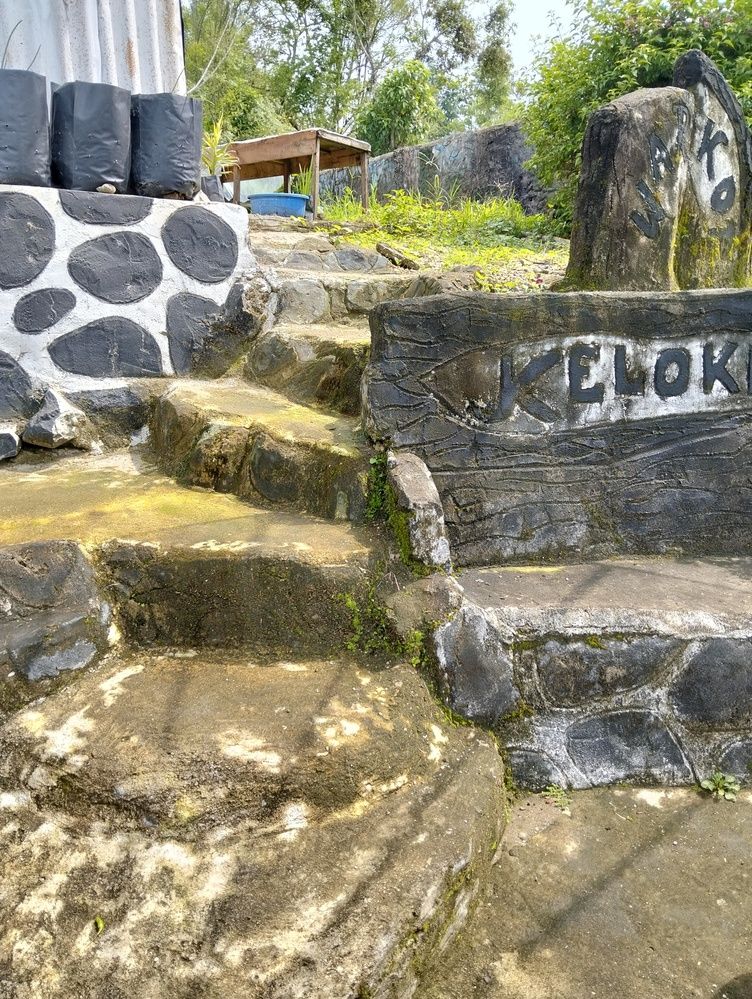 Photograph by Adal -