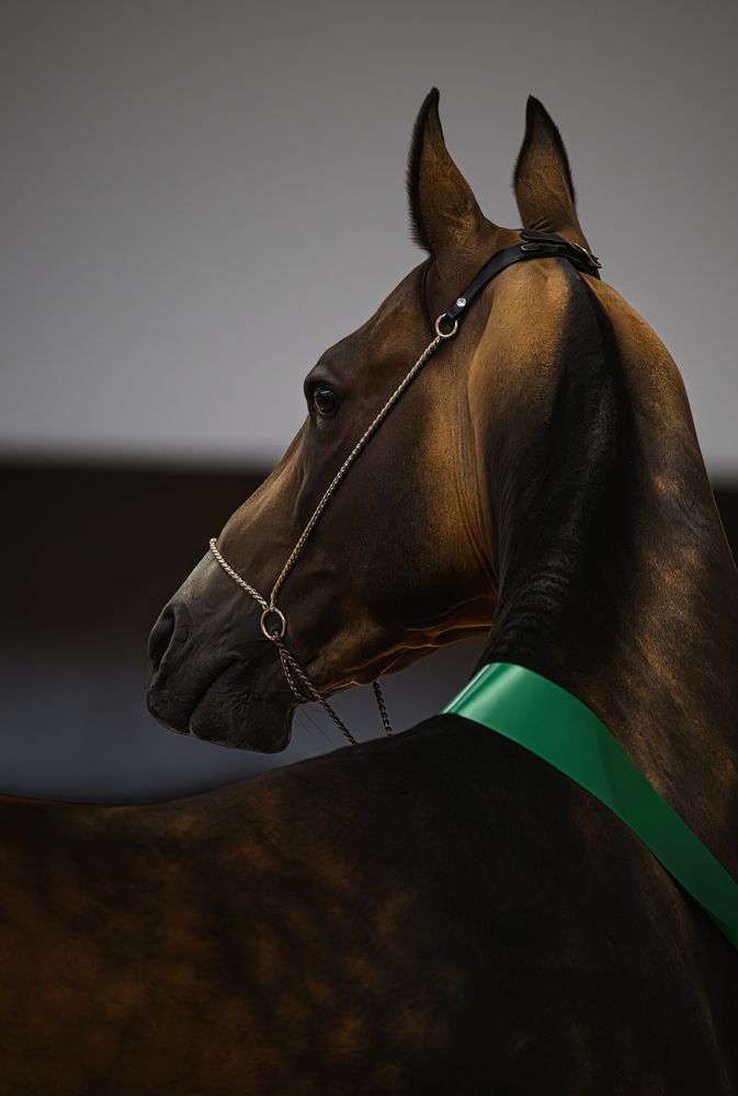 Photograph by Мария Ирешева