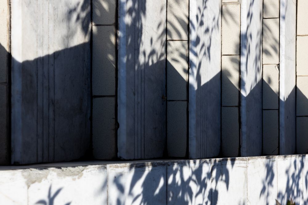 Photograph by Алексей Пирязев