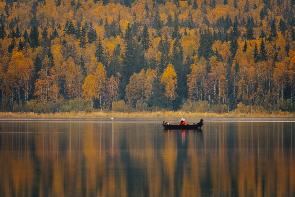 Photograph by Иван Кривоносов