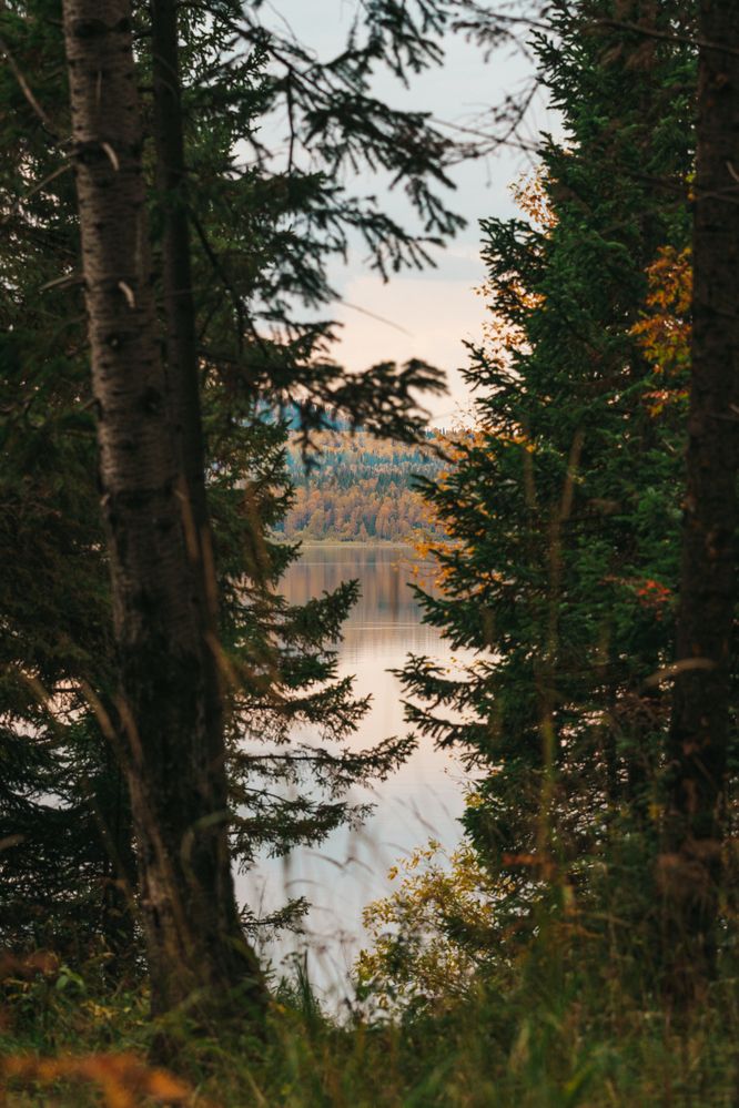 Photograph by Иван Кривоносов