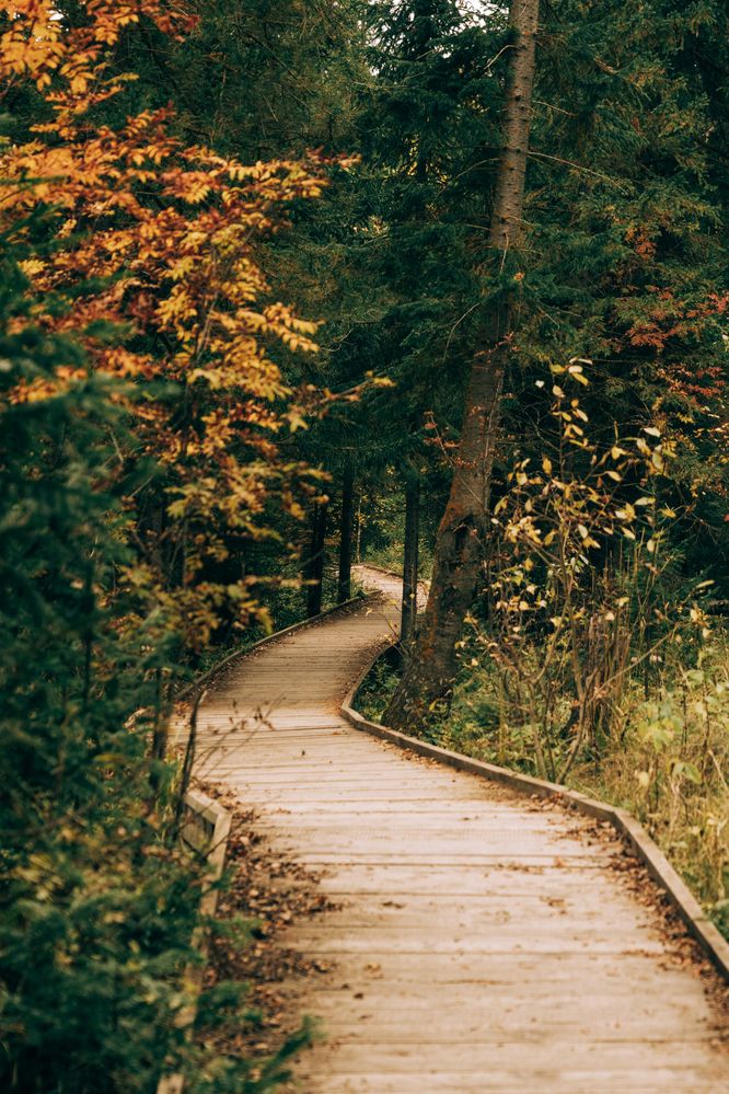 Photograph by Иван Кривоносов