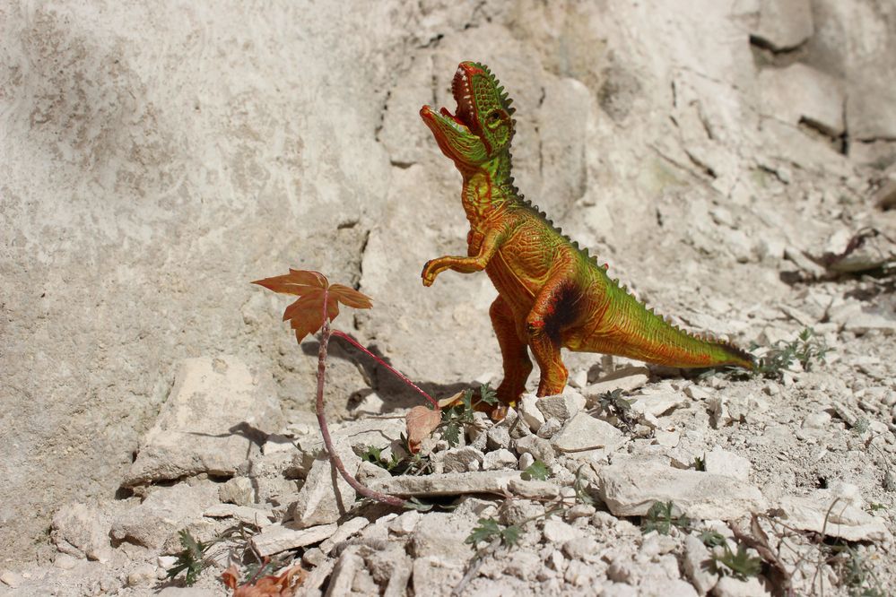 Photograph by Светлана Шубина