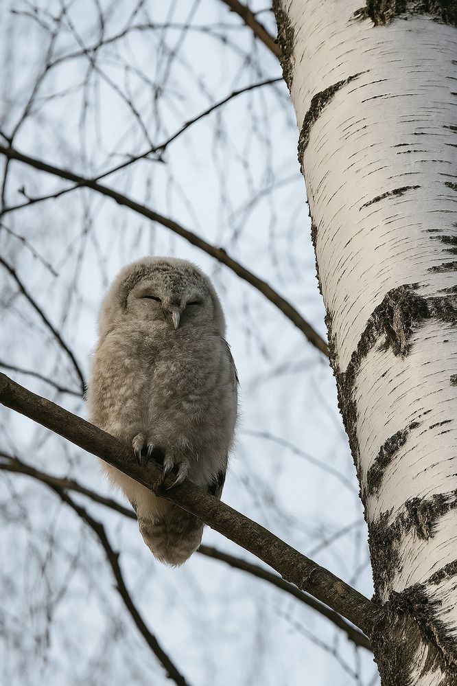 Photograph by Александра Тараскина