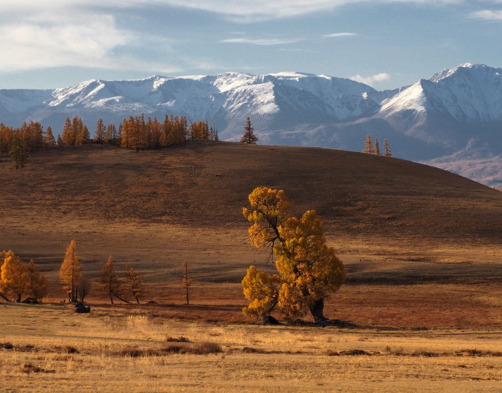 Photograph by Галина Хвостенко