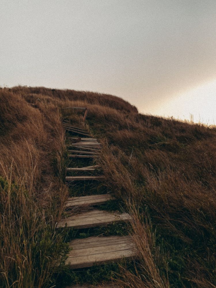 Photograph by Анна Голубцова