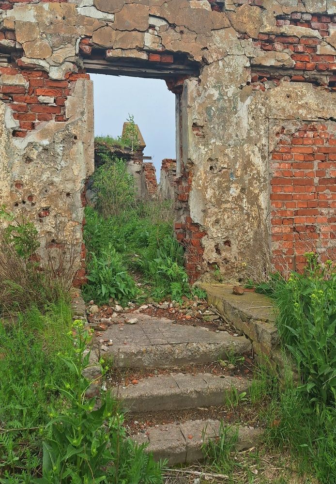 Photograph by Ольга Мольдон