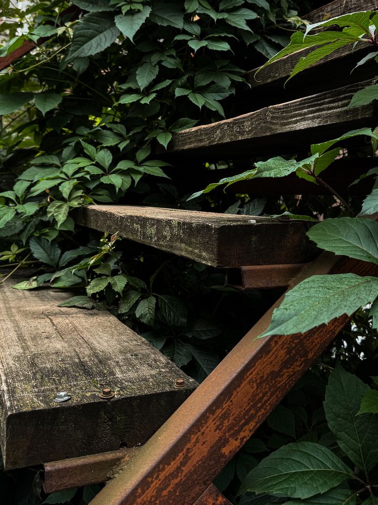 Photograph by Наталья Чехова