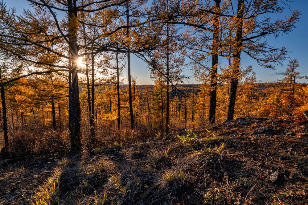 Photograph by Алексей Гончаров