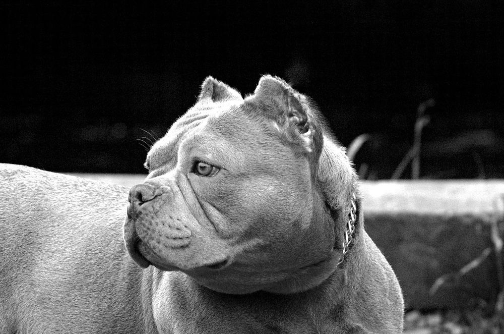 Photograph by Елена Казакова