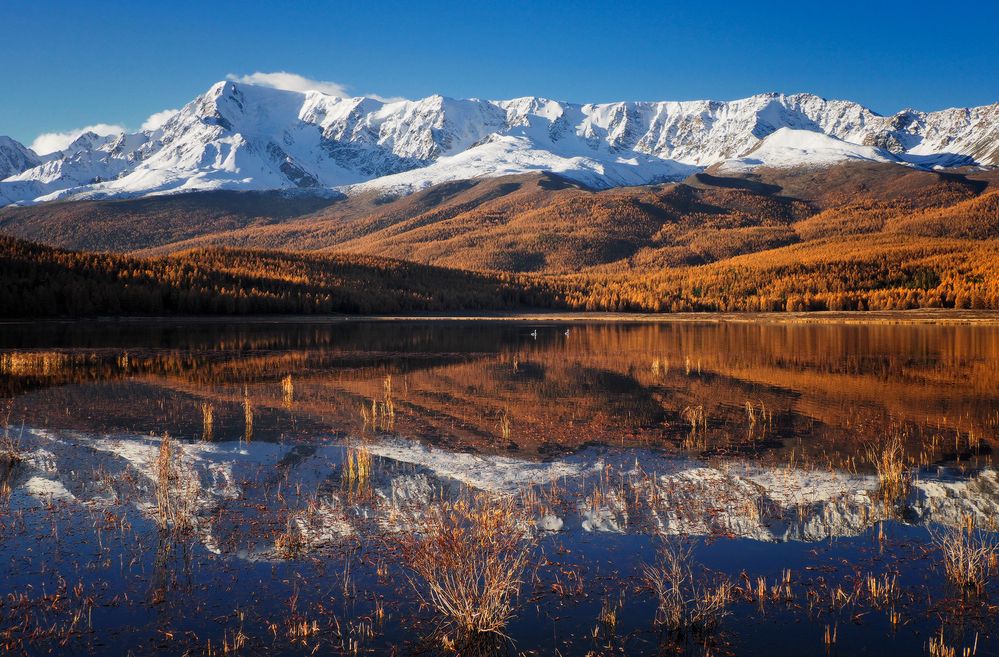 Photograph by Галина Хвостенко