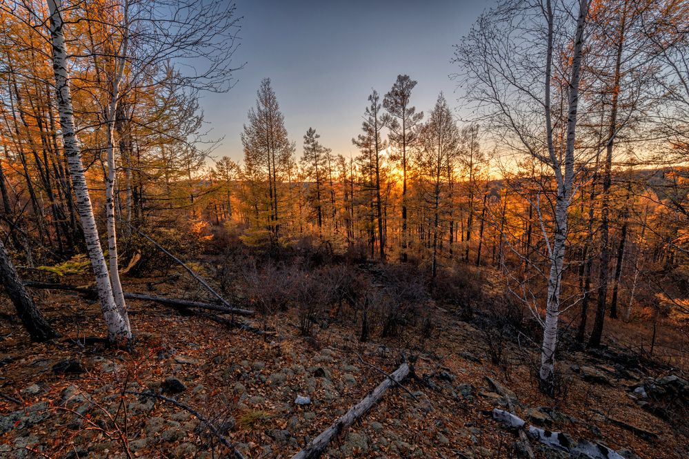 Photograph by Алексей Гончаров