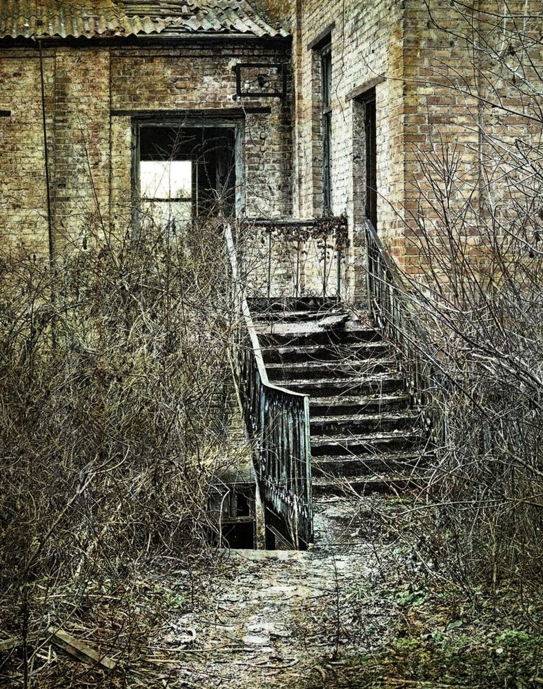 Фотография автора Роман Савоцкий