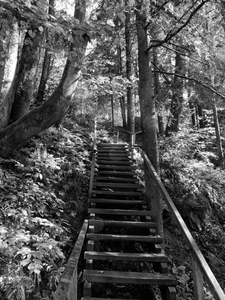 Фотография автора Роман Савоцкий