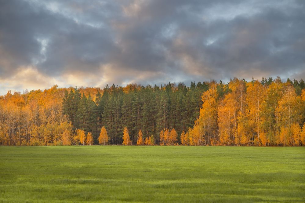 Photograph by Елена Куртеева