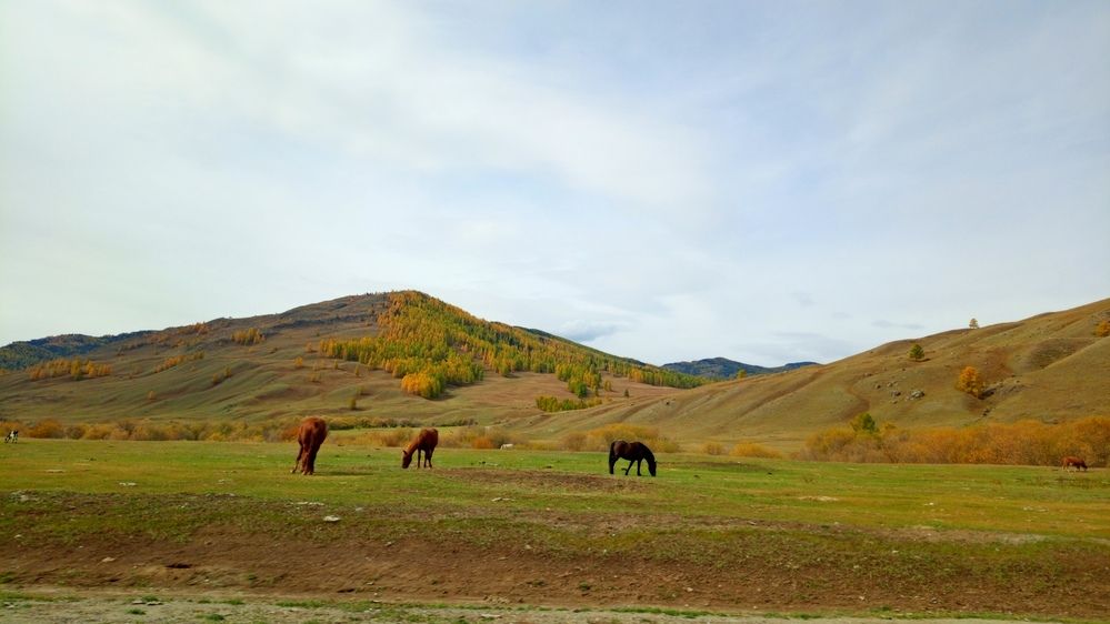 Photograph by Самигулов Хафиз