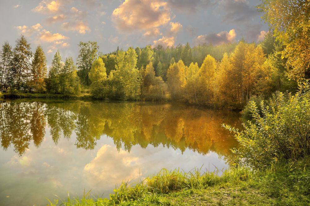 Photograph by Елена Куртеева